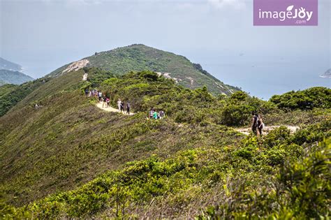 龍背脊|龍脊遠足徑 